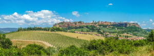 Orvieto DOC